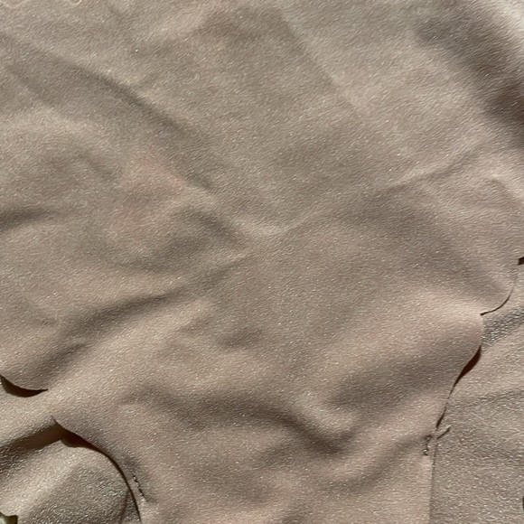 NWT Victoria’s Secret Beige No-Show Seamless Cheeky Scalloped Panty - Picture 6 of 6